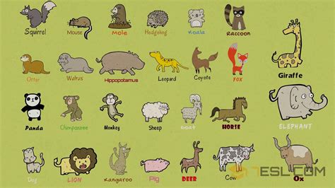 m4ufree mammals|Mammals .